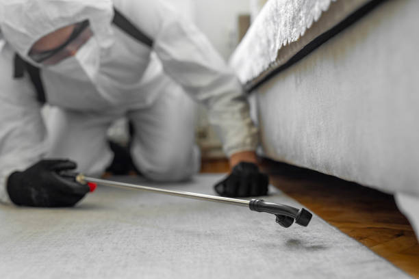 Professional Termite Control technician working in Independence, IA