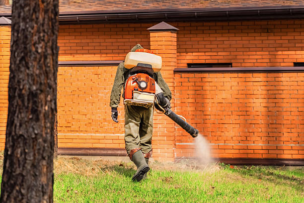 Trusted Bed Bug Control service in Independence, IA - Nex Pest Control